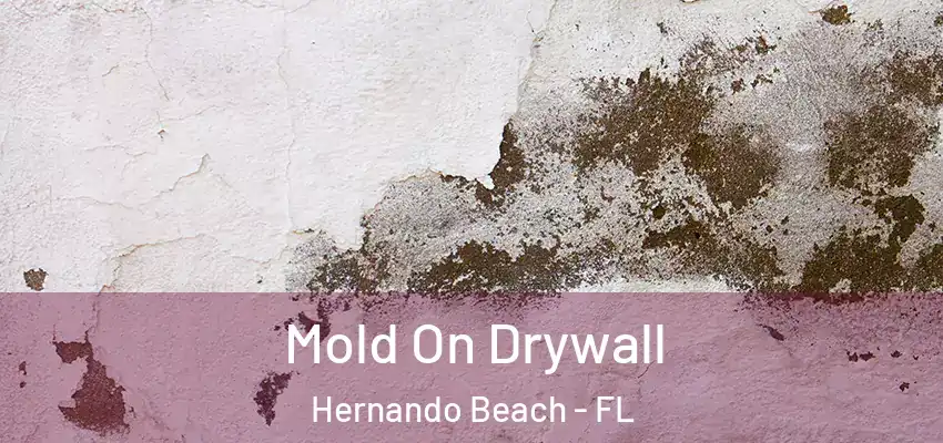 Mold On Drywall Hernando Beach - FL
