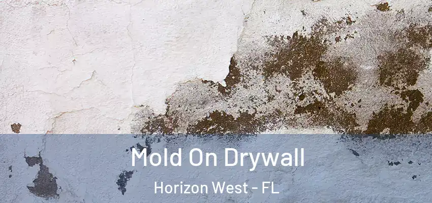 Mold On Drywall Horizon West - FL