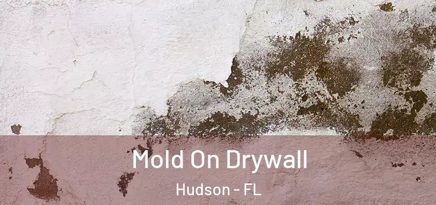Mold On Drywall Hudson - FL