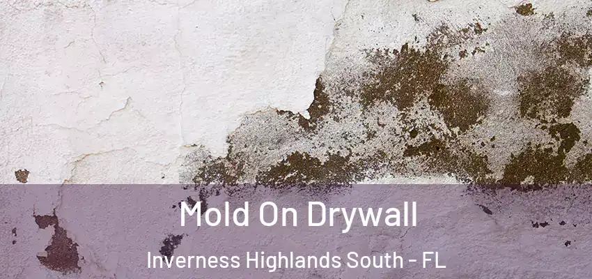  Mold On Drywall Inverness Highlands South - FL