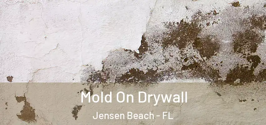 Mold On Drywall Jensen Beach - FL