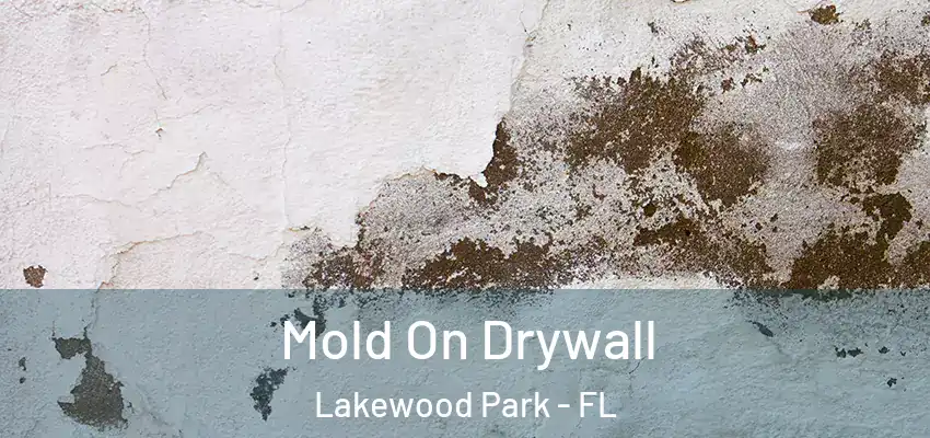  Mold On Drywall Lakewood Park - FL