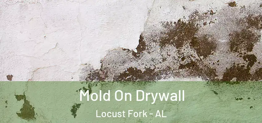 Mold On Drywall Locust Fork - AL