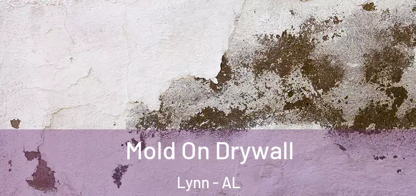 Mold On Drywall Lynn - AL