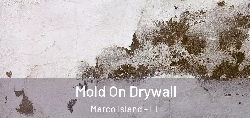 Mold On Drywall Marco Island - FL