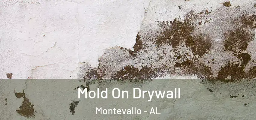 Mold On Drywall Montevallo - AL