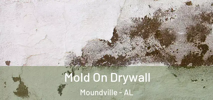  Mold On Drywall Moundville - AL