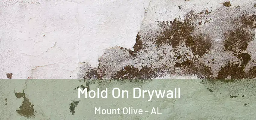 Mold On Drywall Mount Olive - AL