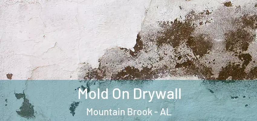 Mold On Drywall Mountain Brook - AL
