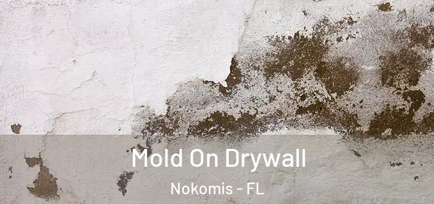 Mold On Drywall Nokomis - FL