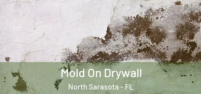 Mold On Drywall North Sarasota - FL