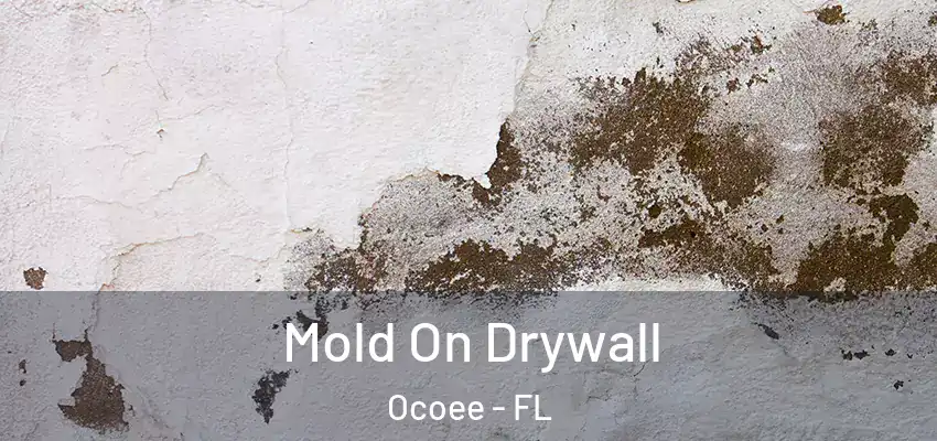 Mold On Drywall Ocoee - FL