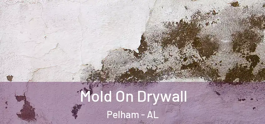 Mold On Drywall Pelham - AL