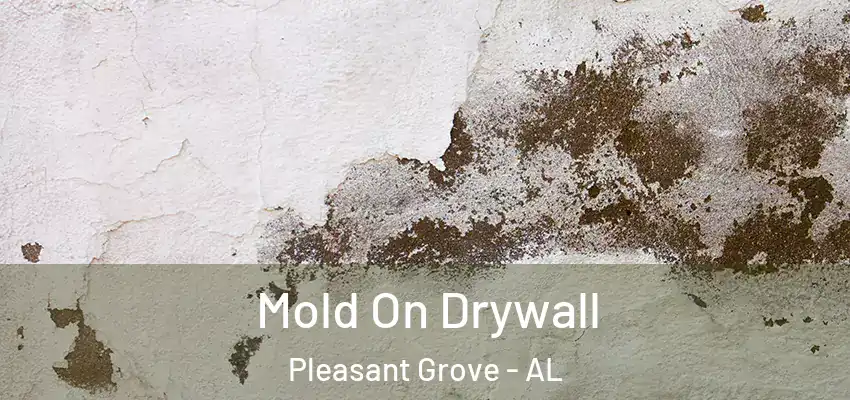  Mold On Drywall Pleasant Grove - AL
