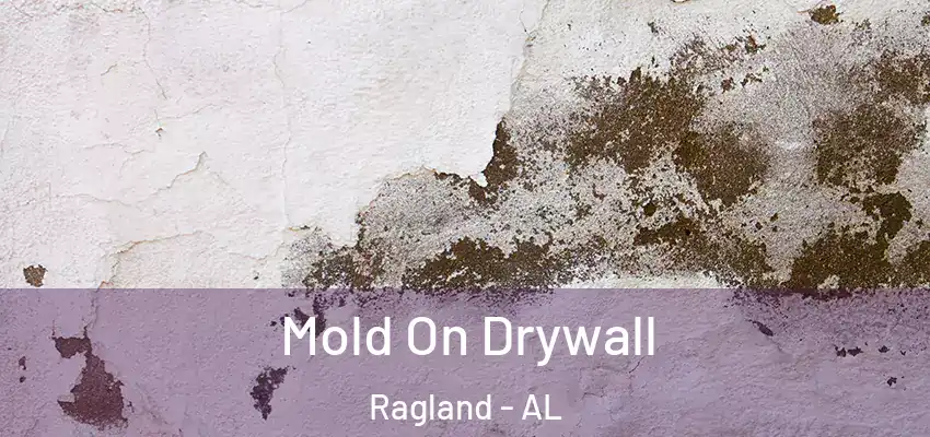 Mold On Drywall Ragland - AL