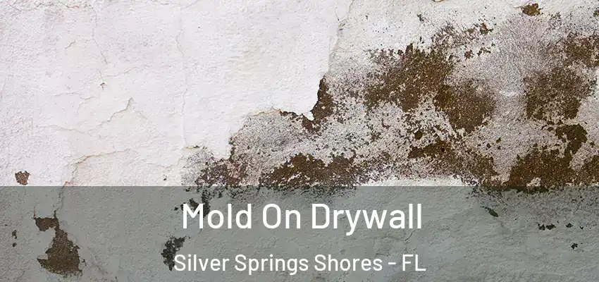  Mold On Drywall Silver Springs Shores - FL