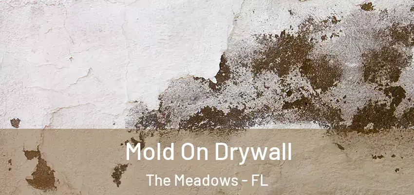 Mold On Drywall The Meadows - FL