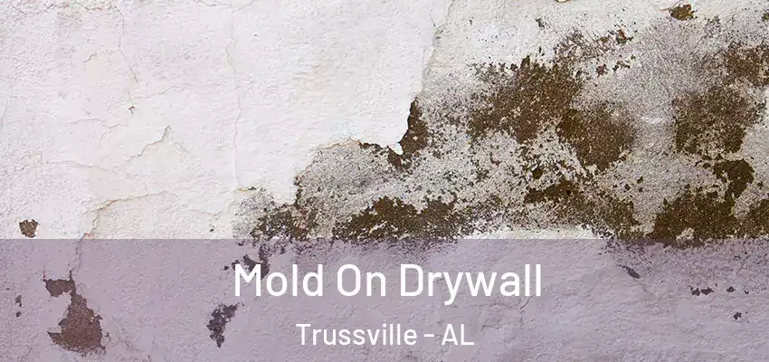  Mold On Drywall Trussville - AL
