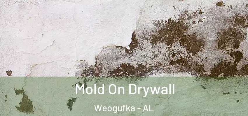 Mold On Drywall Weogufka - AL