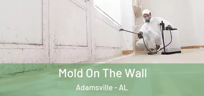  Mold On The Wall Adamsville - AL