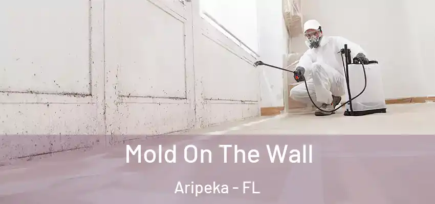 Mold On The Wall Aripeka - FL