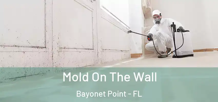  Mold On The Wall Bayonet Point - FL