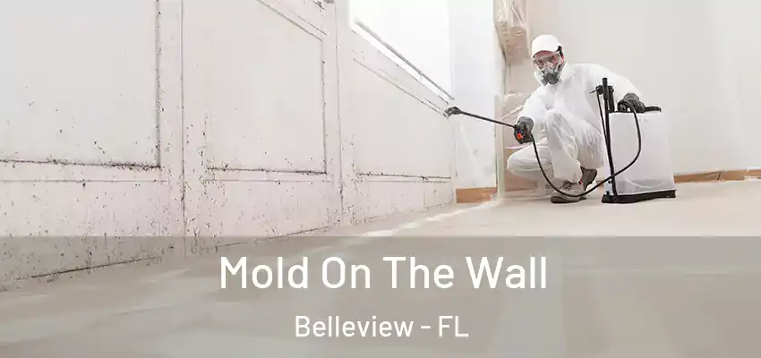 Mold On The Wall Belleview - FL