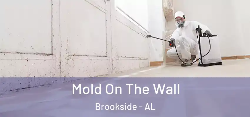  Mold On The Wall Brookside - AL