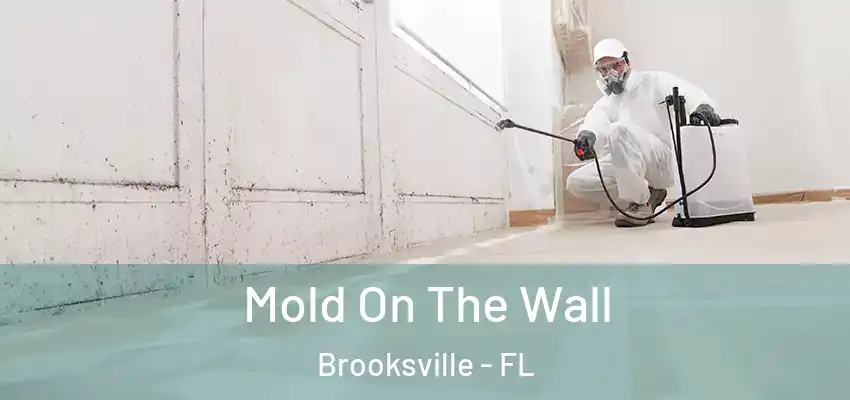 Mold On The Wall Brooksville - FL