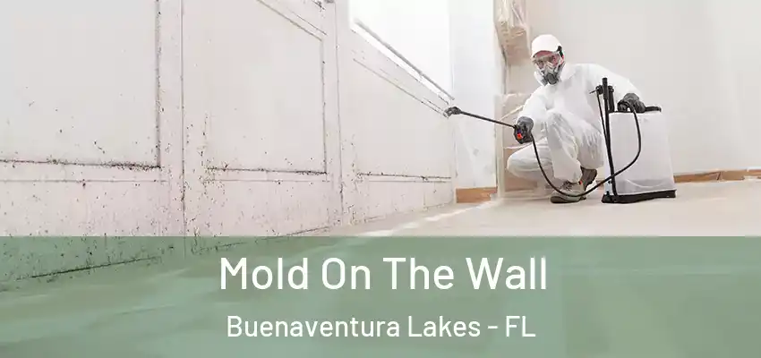 Mold On The Wall Buenaventura Lakes - FL