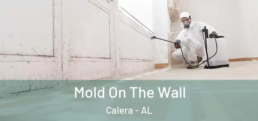 Mold On The Wall Calera - AL
