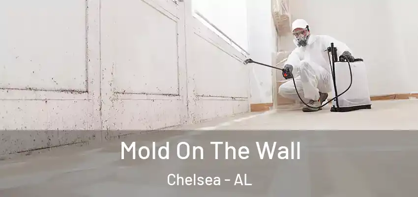  Mold On The Wall Chelsea - AL