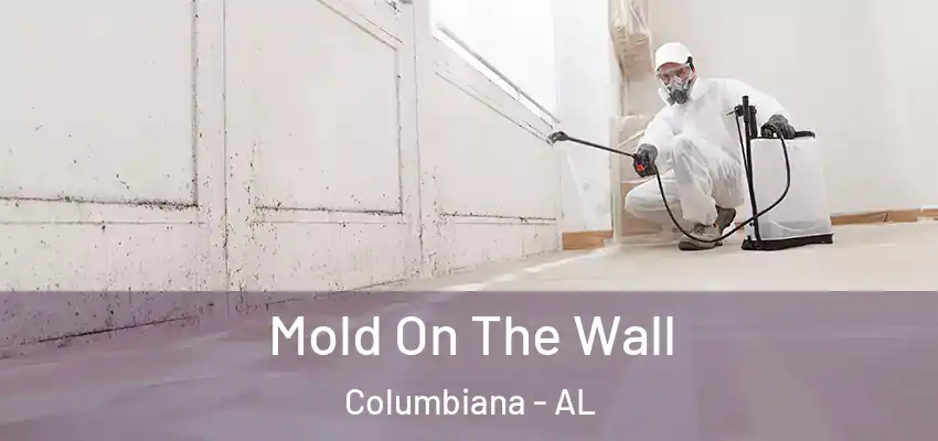  Mold On The Wall Columbiana - AL