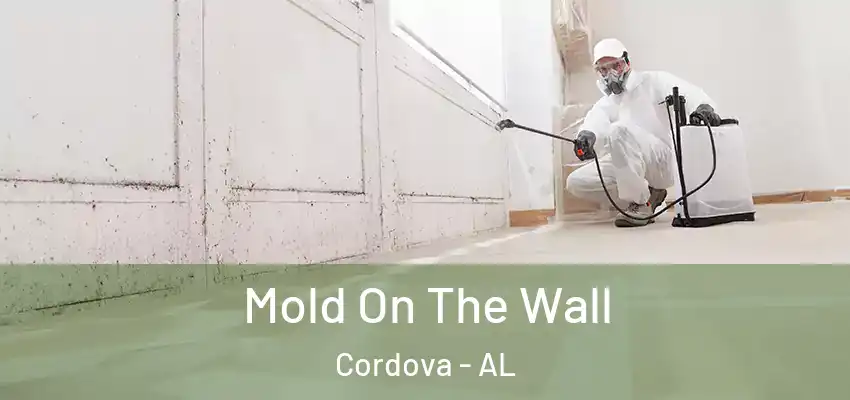 Mold On The Wall Cordova - AL