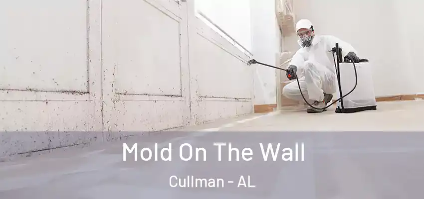  Mold On The Wall Cullman - AL