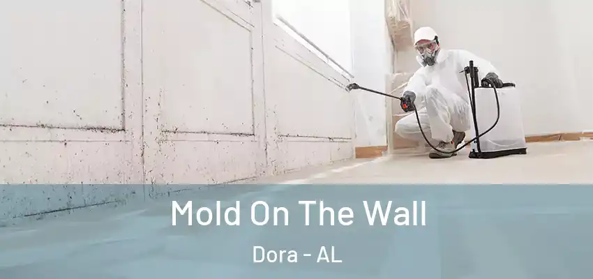  Mold On The Wall Dora - AL