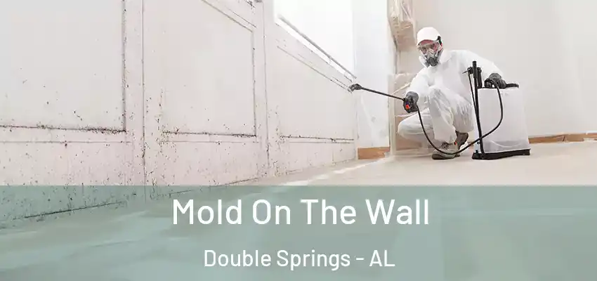  Mold On The Wall Double Springs - AL