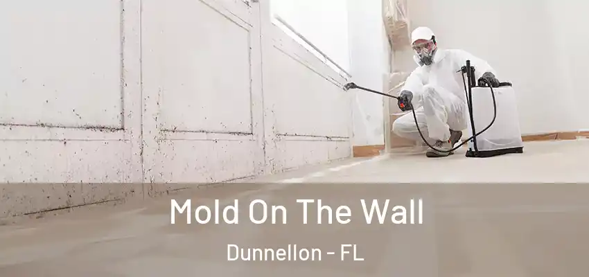  Mold On The Wall Dunnellon - FL