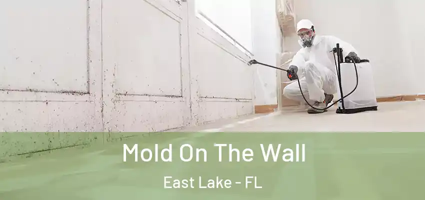 Mold On The Wall East Lake - FL