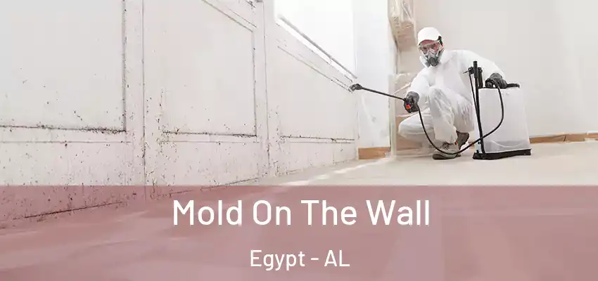 Mold On The Wall Egypt - AL