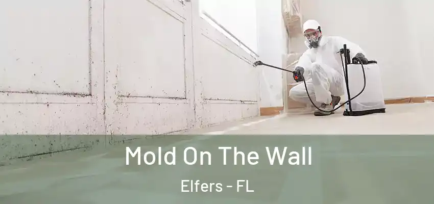 Mold On The Wall Elfers - FL
