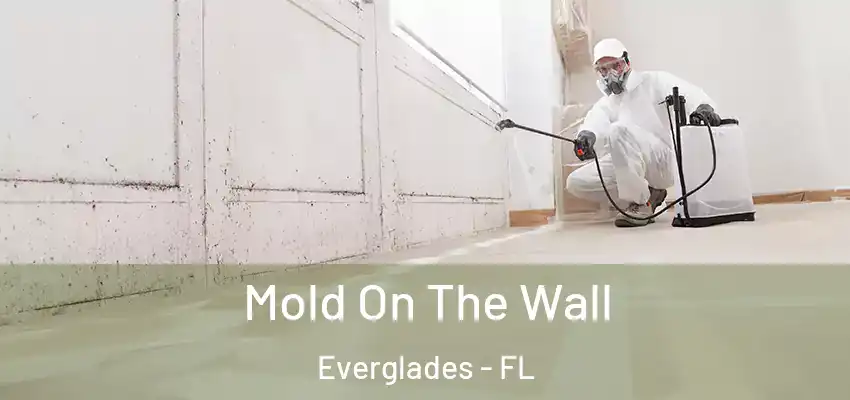 Mold On The Wall Everglades - FL