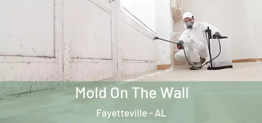 Mold On The Wall Fayetteville - AL