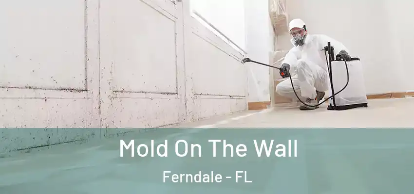  Mold On The Wall Ferndale - FL