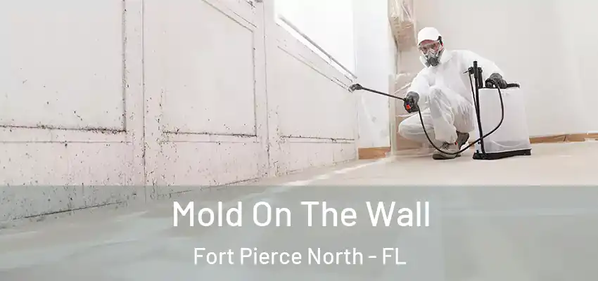 Mold On The Wall Fort Pierce North - FL