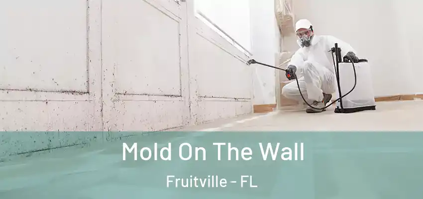 Mold On The Wall Fruitville - FL