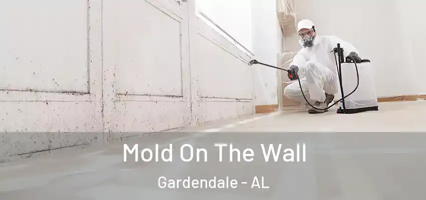 Mold On The Wall Gardendale - AL
