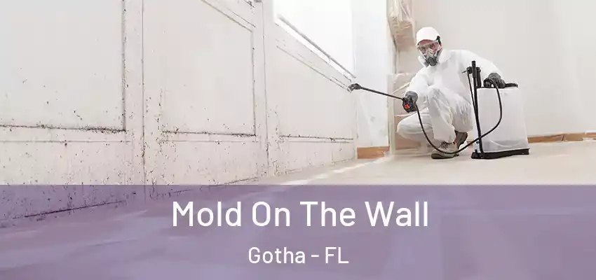  Mold On The Wall Gotha - FL