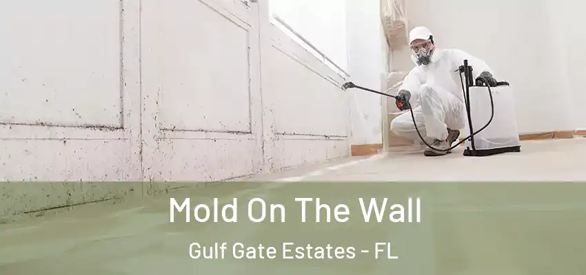 Mold On The Wall Gulf Gate Estates - FL