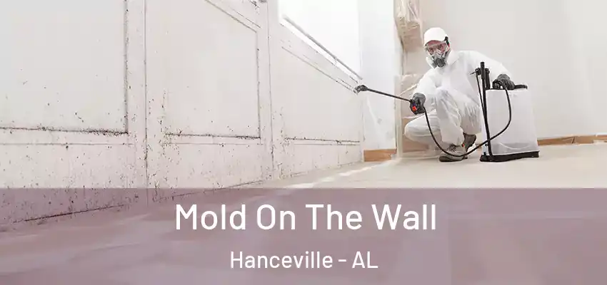 Mold On The Wall Hanceville - AL